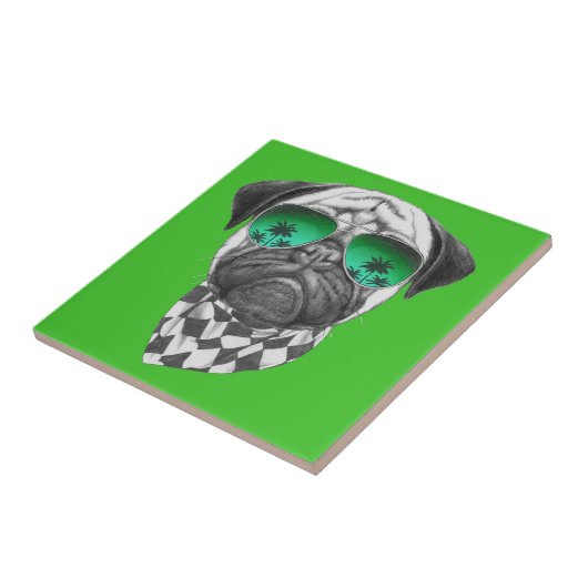 マイアミのパグ タイル (側面)