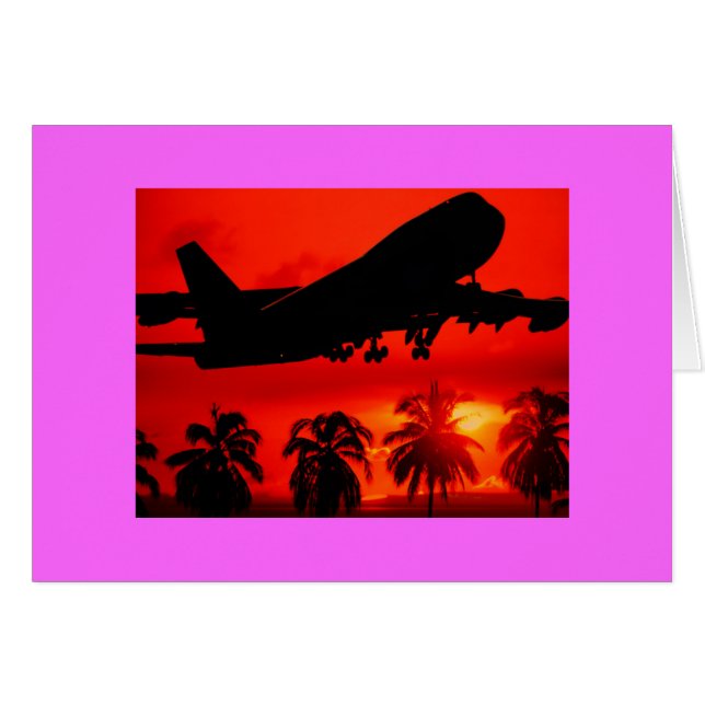 マイアミの離陸 (正面横)