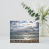 マイアミシリーズ ポストカード (スタンド正面)