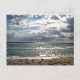 マイアミシリーズ ポストカード