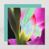 マイアミスタイルフローラ空白のカード (正面/裏面)