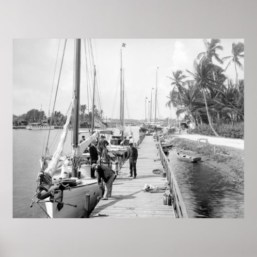 マイアミセーラーボート， 1905 ポスター (正面)