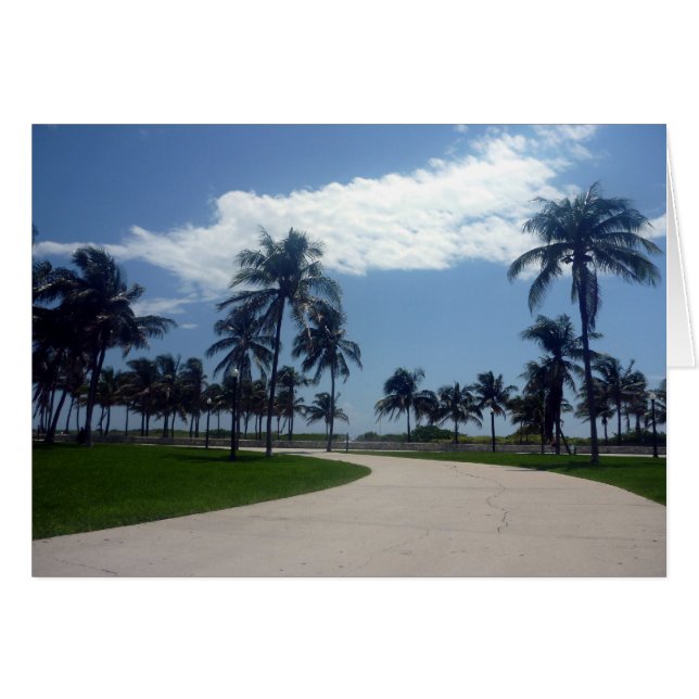 マイアミパス (正面横)