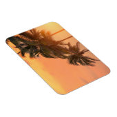 マイアミパームズ マグネット (右側)