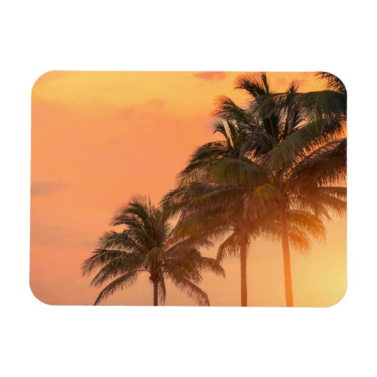 マイアミパームズ マグネット (横)