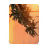 マイアミパームズ マグネット (縦)