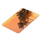 マイアミパームズ マグネット (左側)