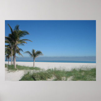 マイアミビーチポスター ポスター