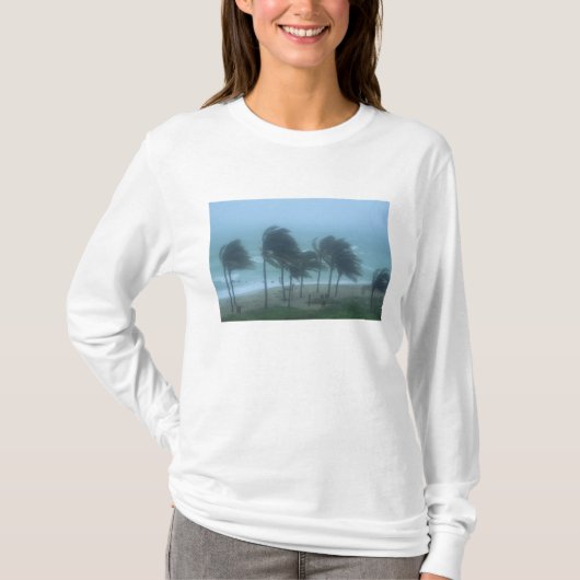 マイアミビーチ、フロリダ、ハリケーンの風 Tシャツ (正面)