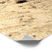 マイアミビーチ ポスター (角)