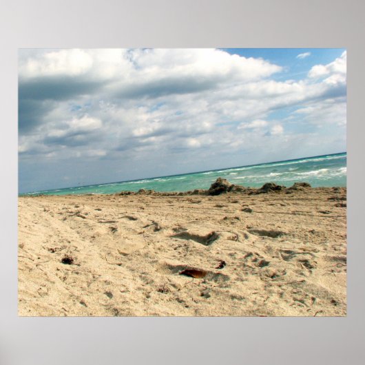 マイアミビーチ ポスター (正面)