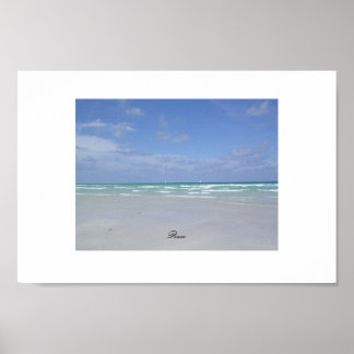 マイアミビーチ ポスター