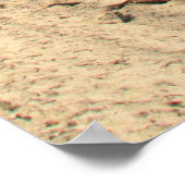 マイアミビーチ ポスター (角)