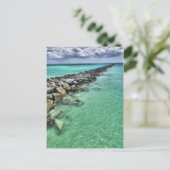 マイアミビーチ ポストカード (スタンド正面)