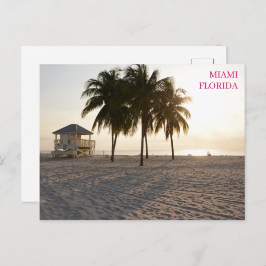 マイアミフロリダビーチパームスライフガードハガキ ポストカード (正面/裏面)