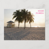 マイアミフロリダビーチパームスライフガードハガキ ポストカード (正面)