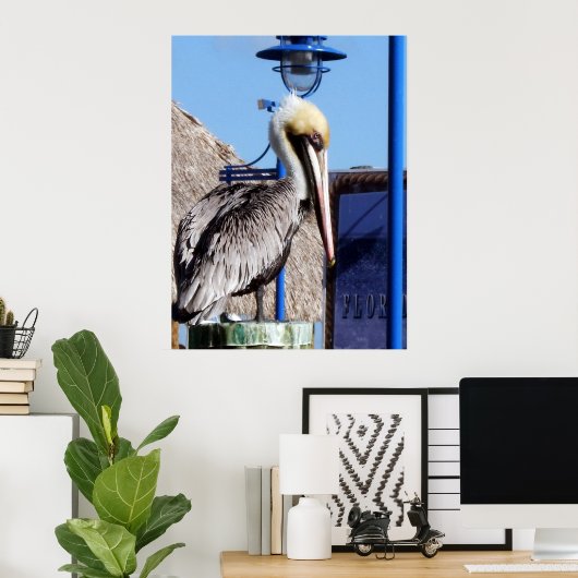 マイアミペリカン ポスター (ホームオフィス)