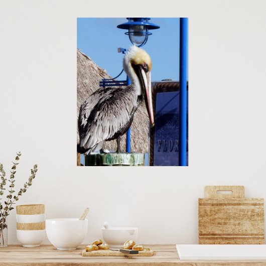 マイアミペリカン ポスター (キッチン)