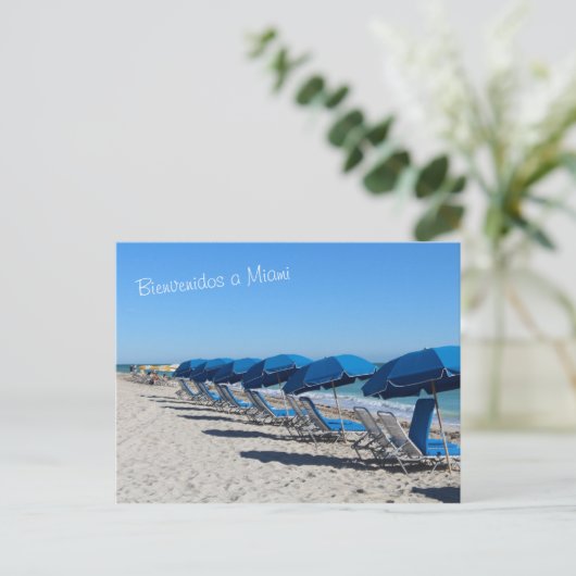 マイアミポストカードをビエンヴェニドス ポストカード (スタンド正面)