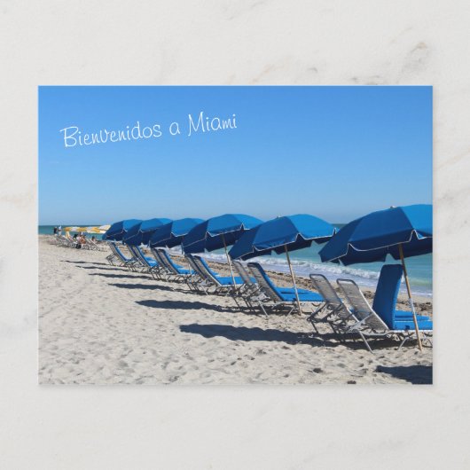 マイアミポストカードをビエンヴェニドス ポストカード (正面)