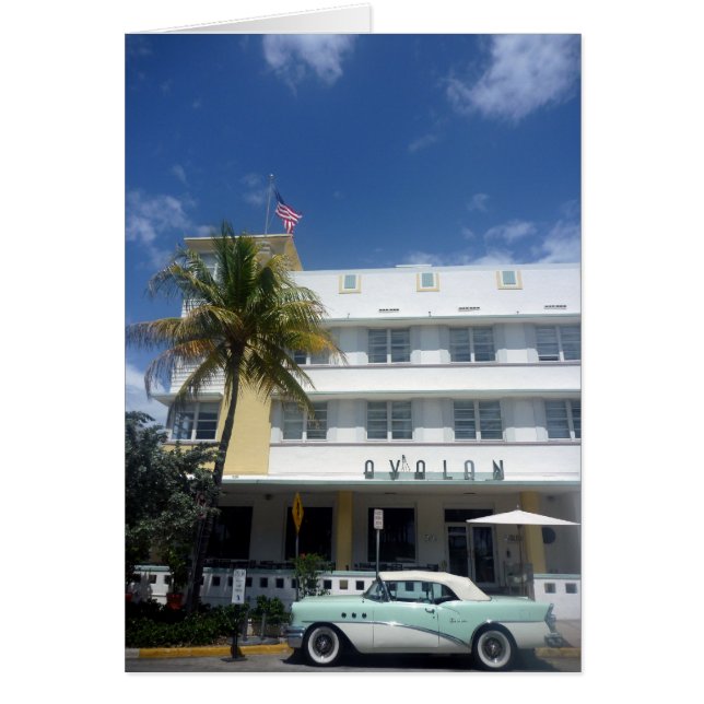 マイアミヴィンテージ (正面)