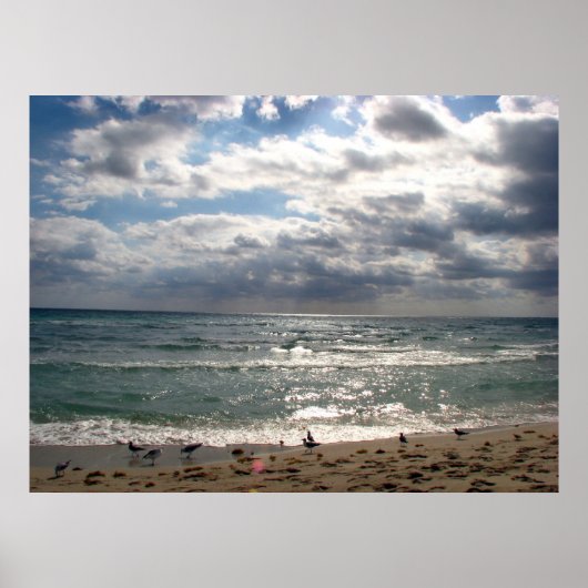 マイアミ ポスター (正面)