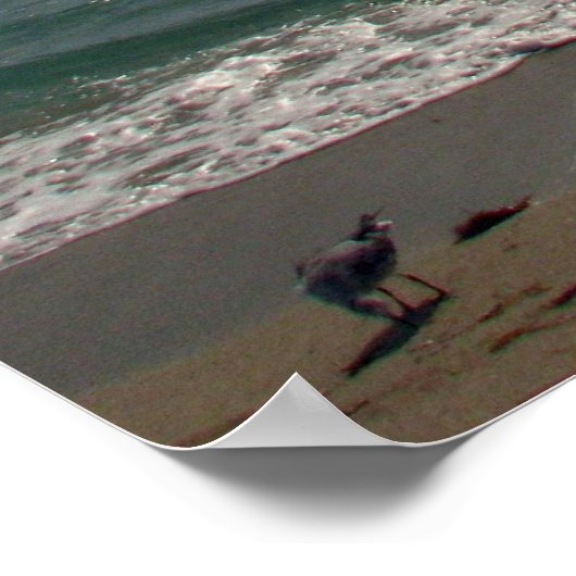 マイアミ ポスター (角)