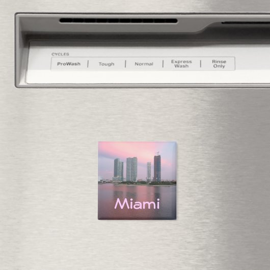 マイアミ マグネット (インサイチュ (食洗機))