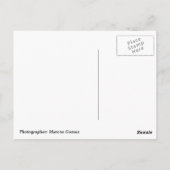 マイアミFL ポストカード (裏面)