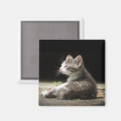 マイウォッチ マグネット (正面/裏面)