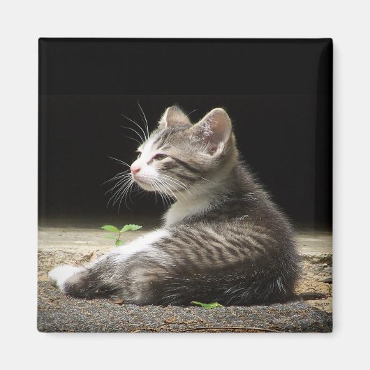 マイウォッチ マグネット (正面)