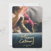 マイオウィカタマス |猫おもしろいクリスマスフォトカード シーズンカード (正面)