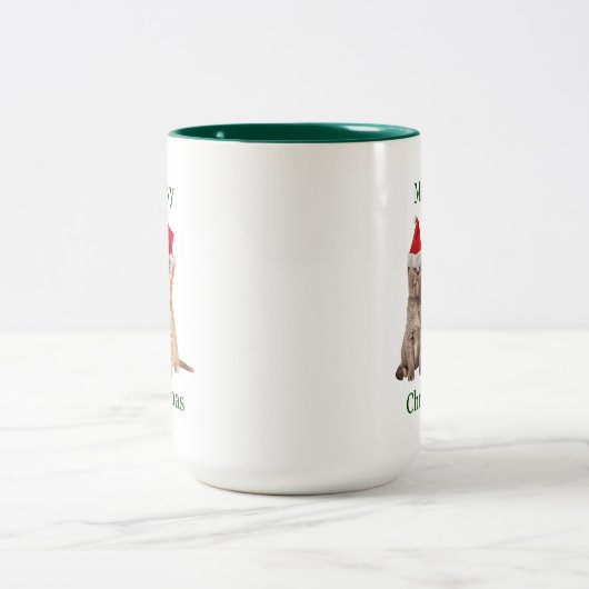 マイオウィクリスマスの子猫マグカップ ツートーンマグカップ (中央)