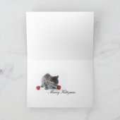 マイオウィクリスマスカード シーズンカード (内部)