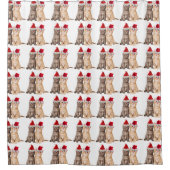 マイオウィクリスマスキットンシャワーカーテン シャワーカーテン (正面)