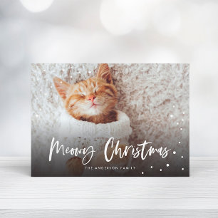 マイオウィクリスマススノーキャット  ペットの写真 シーズンカード