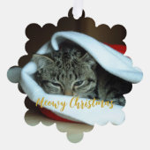 マイオウィクリスマス猫 オーナメントカード (正面)