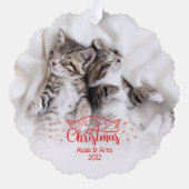 マイオウィクリスマス2写真おもしろい猫好き オーナメントカード (裏面)