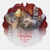マイオウィクリスマス2写真おもしろい猫好き オーナメントカード (正面)