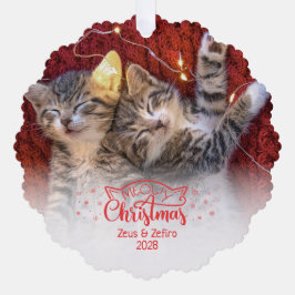 マイオウィクリスマス2写真おもしろい猫好き オーナメントカード