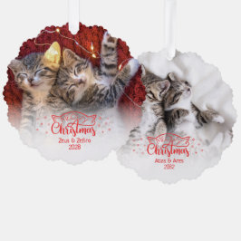 マイオウィクリスマス2写真おもしろい猫好き オーナメントカード