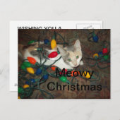 マイオウィクリスマス シーズンポストカード (正面/裏面)