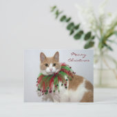 マイオウィクリスマス シーズンポストカード (スタンド正面)