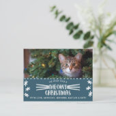 マイオウィクリスマス |猫の休日の写真 シーズンポストカード (スタンド正面)