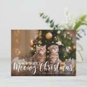 マイオウィクリスマス | Full Photo Petホリデーカード シーズンカード (スタンド正面)