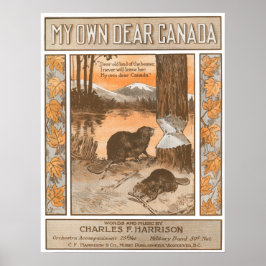 マイカナ親愛ダ ポスター