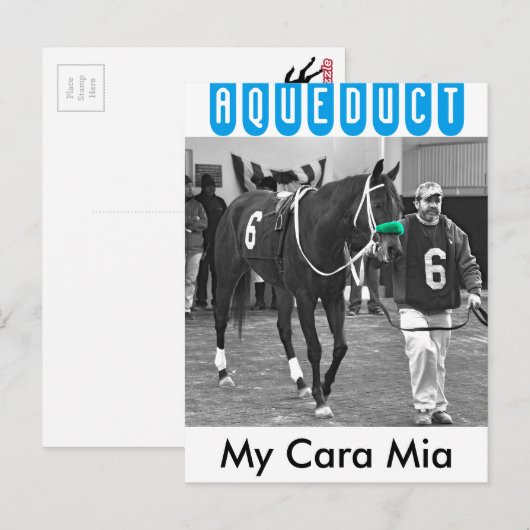 マイカラミア ポストカード (正面/裏面)