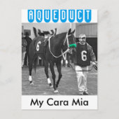 マイカラミア ポストカード (正面)