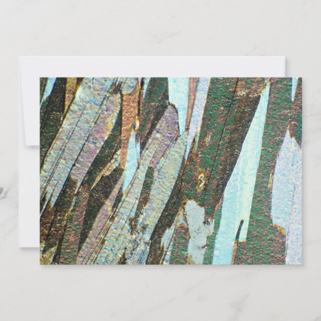 マイカ・シスト (正面)