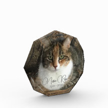 マイキャットフォトメモリアル